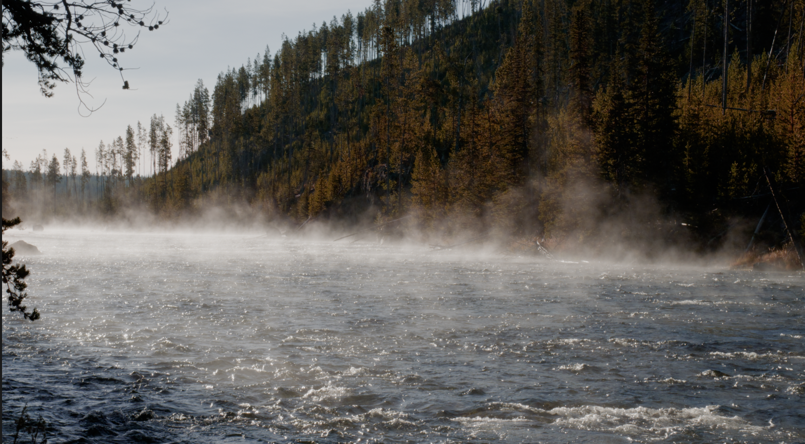 Flora - warm foliage grade